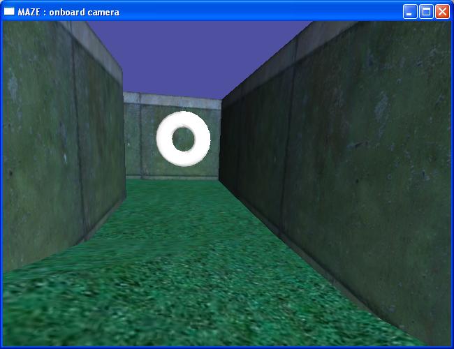 The maze project, first person